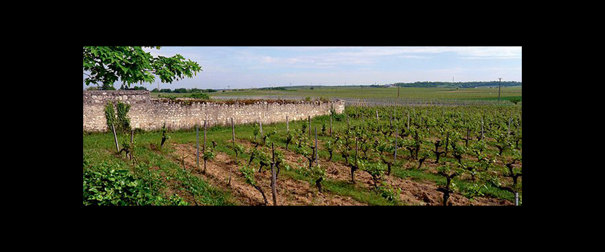 parnay saumur