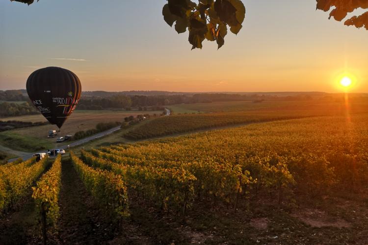 vignoble coteaux de l'aubance